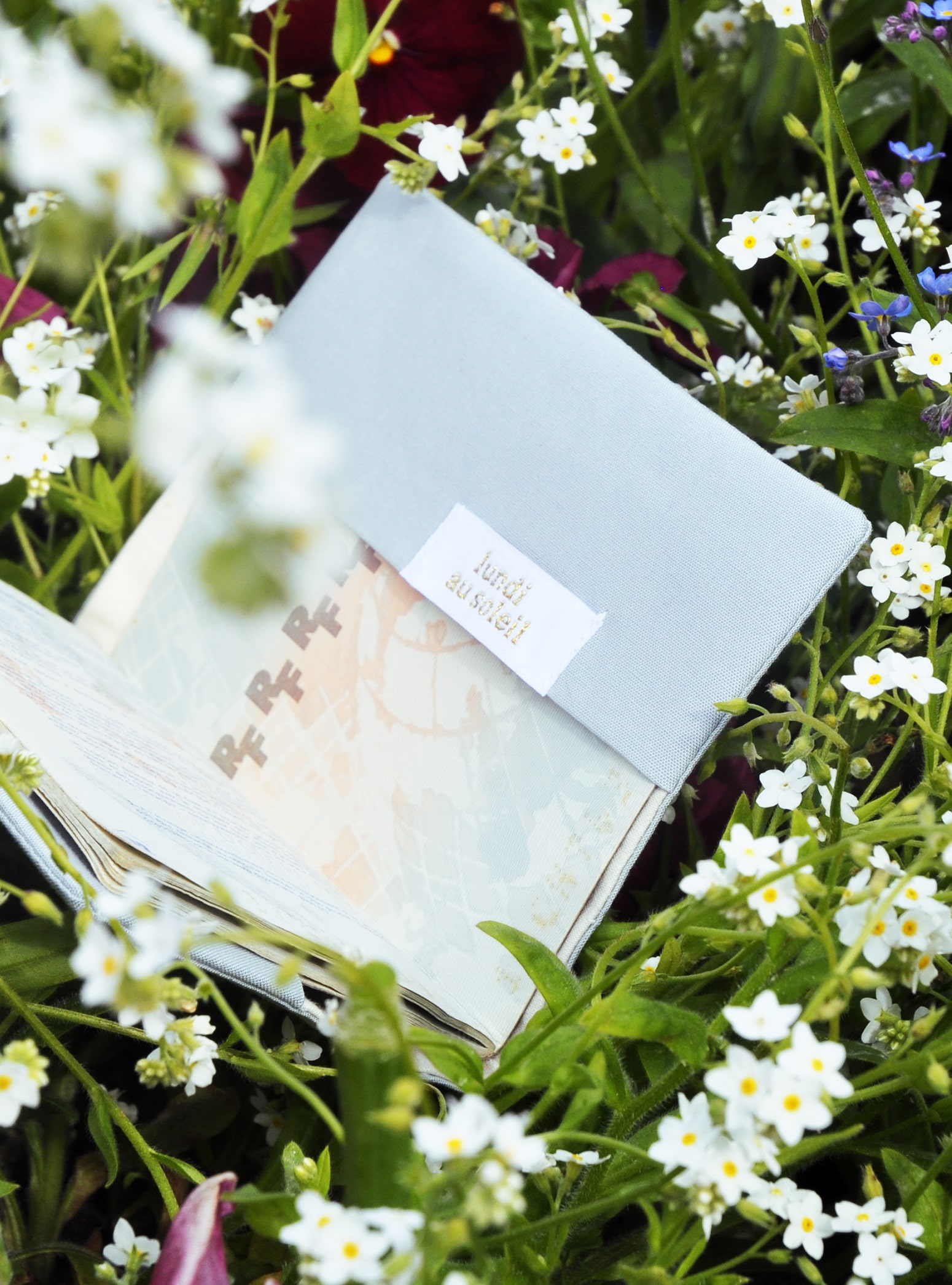 protegepasseport-tournesol3-min