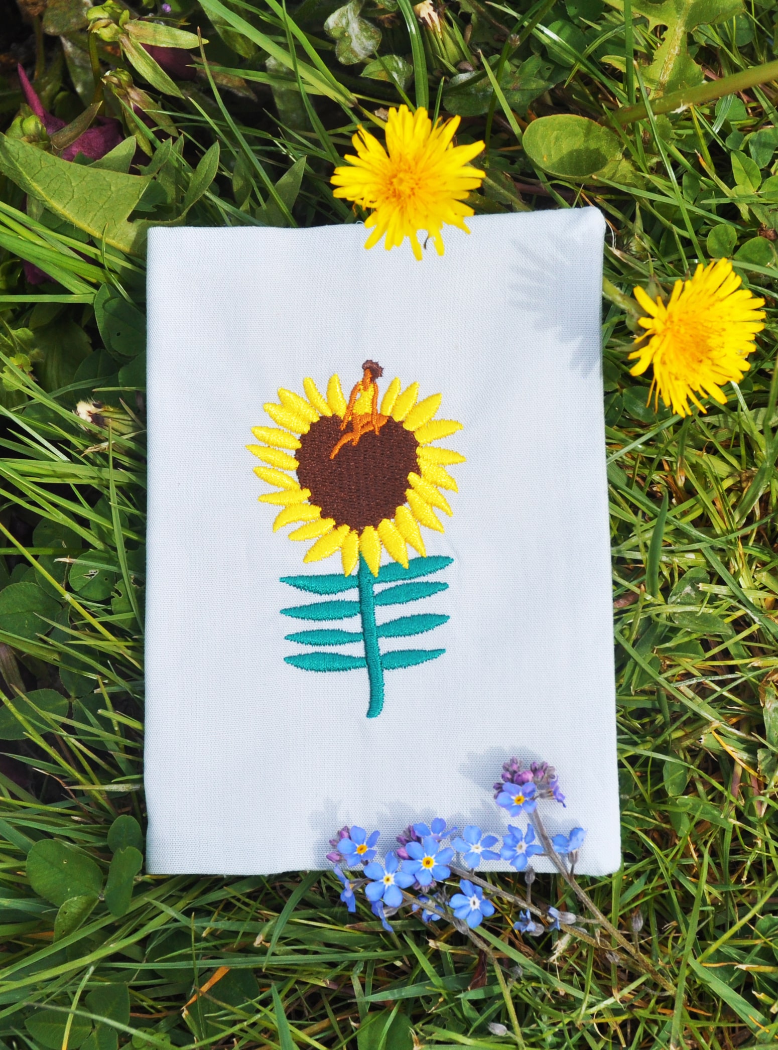 protegepasseport-tournesol4-min